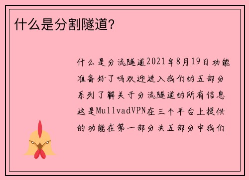 什么是分割隧道？ 