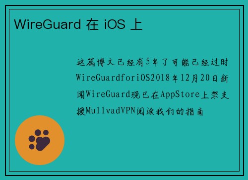 WireGuard 在 iOS 上 